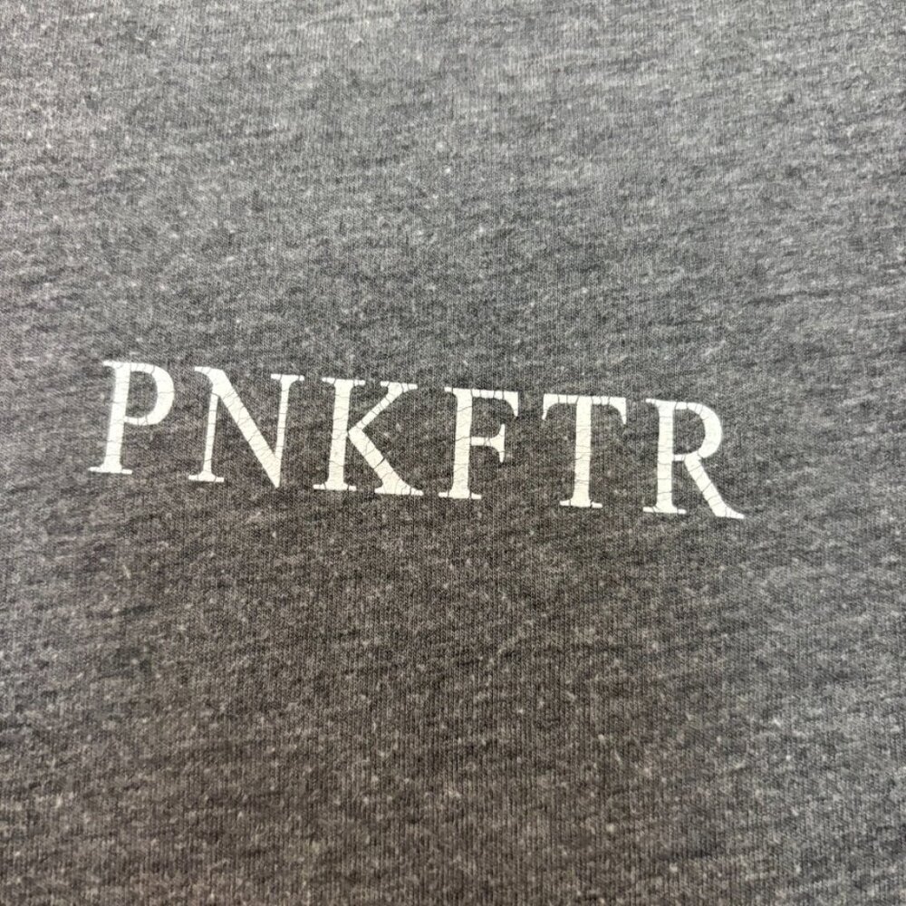 Pink Fighter Crush Cancer Gray T Shirt with Pink Lettering - Picture 6 of 6